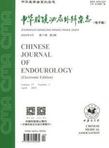 中华腔镜泌尿外科杂志