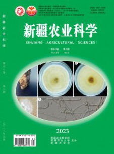 新疆农业科学