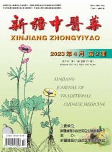 新疆中医药杂志