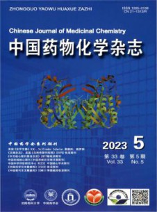 中国药物化学杂志