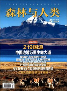 森林与人类杂志
