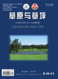 草原与草坪