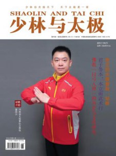 少林与太极杂志