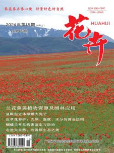 花卉杂志