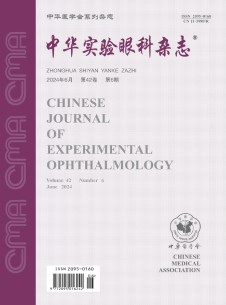眼科研究