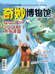 奇妙博物馆