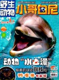小哥白尼·野生动物画报