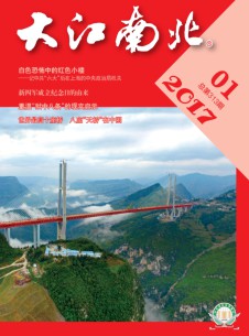 大江南北杂志