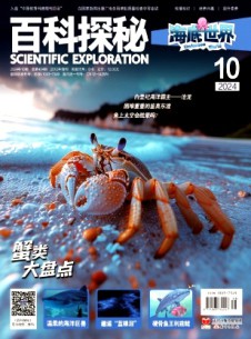 百科探秘·海底世界杂志