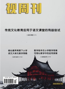 视周刊杂志