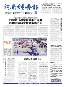 河南经济报