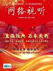 网络视听