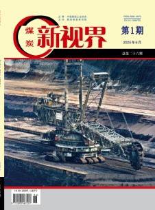 煤炭新视界杂志