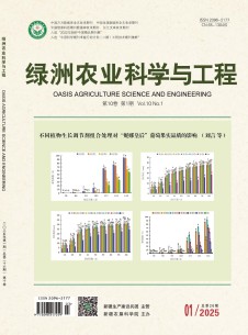 绿洲农业科学与工程