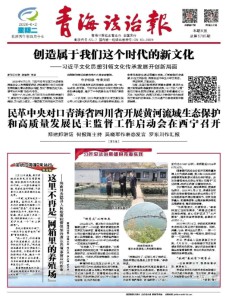 青海法治报