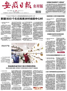 安徽日报·农村版