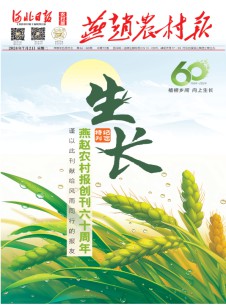 燕赵农村报
